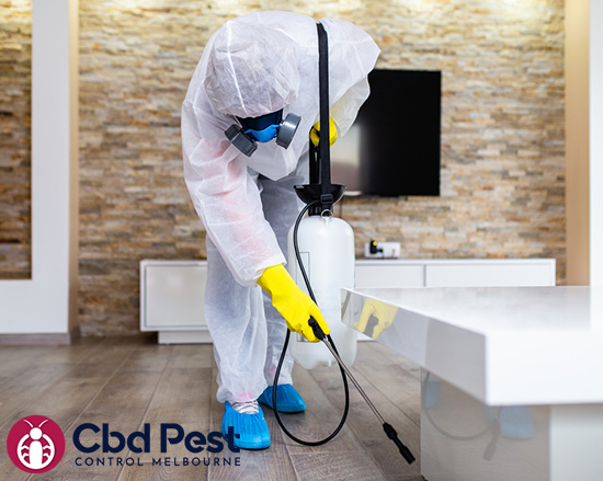 Pest Control Services in Melbourne